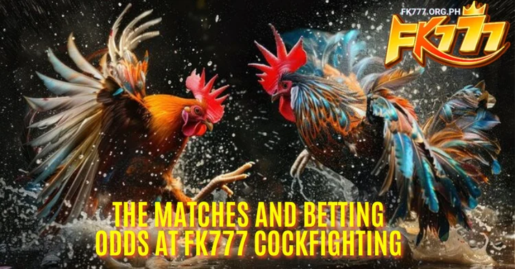 The Matches and Betting Odds at FK777